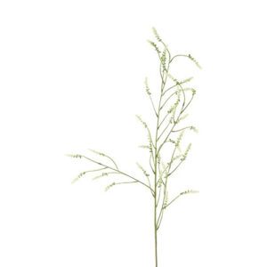 Melilotus hvid h 115 cm