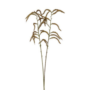 Amaranthus natur h 80 cm