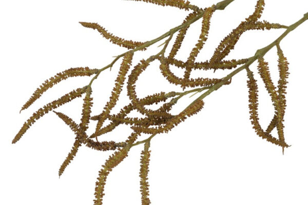 Amaranthus natur h 80 cm - Image 2