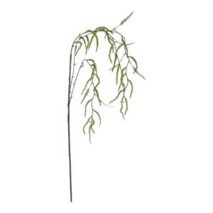 Amaranthus grøn h 102 cm