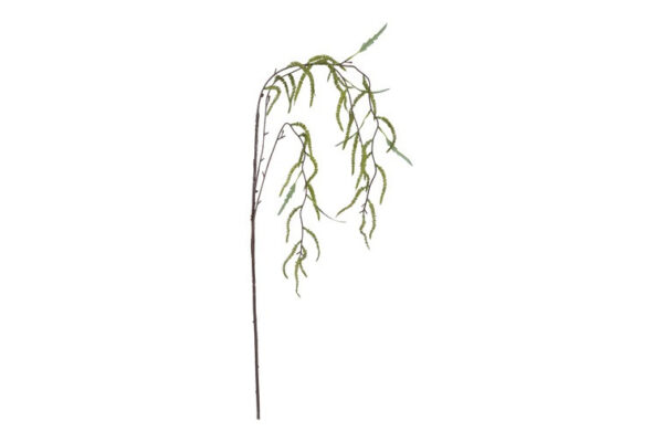 Amaranthus grøn h 102 cm