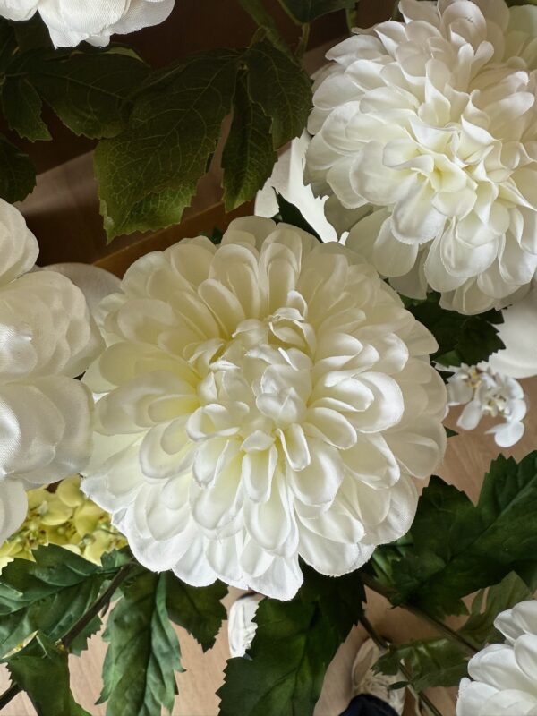 Dahlia hvid h 75 cm - Billede 5