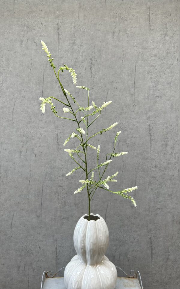 Melilotus hvid h 115 cm - Billede 3