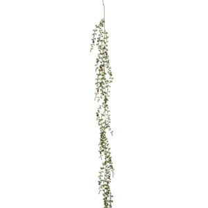 Ceder ranke grøn m/kogler L 190 cm