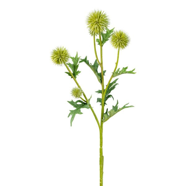 Tidsel grøn h 70 cm