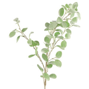 Eucalyptus støvet grøn h 89 cm