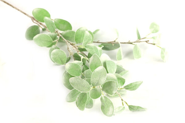 Eucalyptus støvet grøn h 89 cm - Billede 2