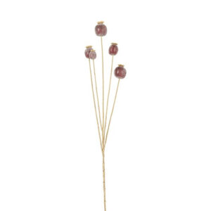 Valmue kapsler buket purple h 75 cm