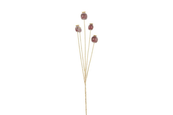 Valmue kapsler buket purple h 75 cm