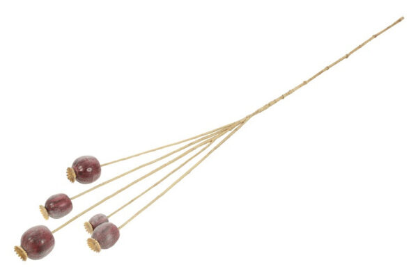 Valmue kapsler buket purple h 75 cm - Billede 2