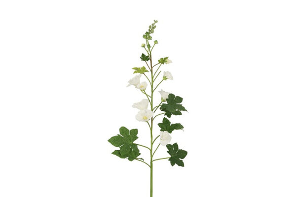 Stokrose hvid h 155 cm