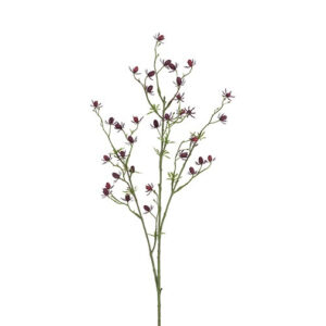 Cordifolia purple h 87 cm