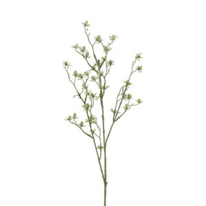 Cordifolia grøn h 87 cm
