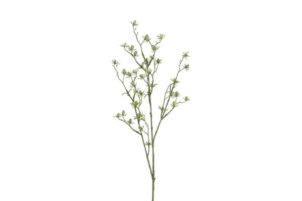 Cordifolia grøn h 87 cm