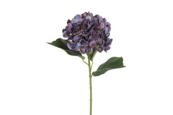 Hortensia purple h 65 cm