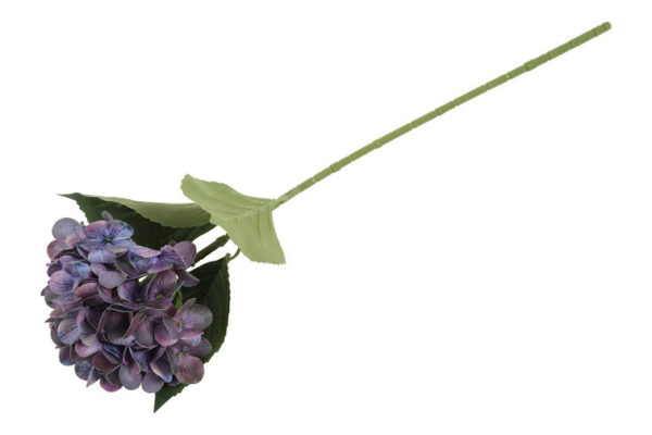 Hortensia purple h 65 cm - Billede 2