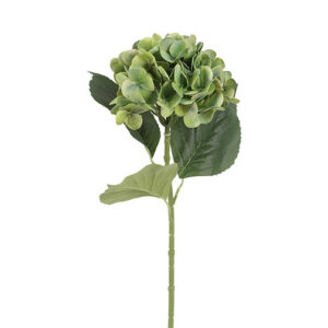 Hortensia grøn h 65 cm
