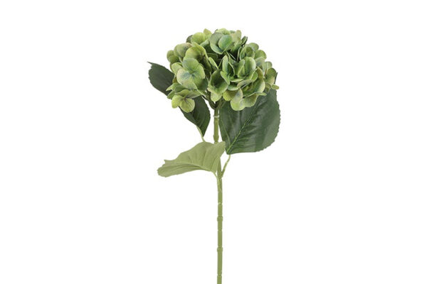 Hortensia grøn h 65 cm