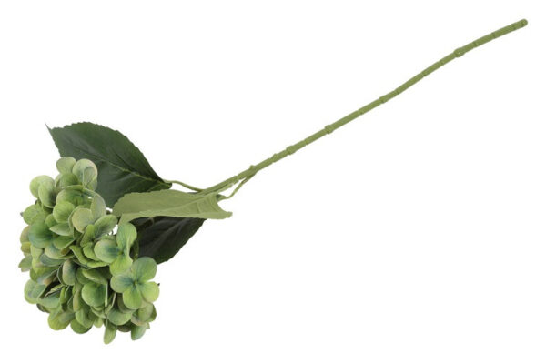 Hortensia grøn h 65 cm - Billede 2