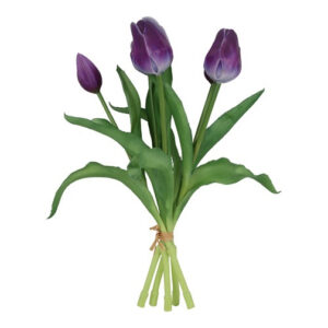 Tulipan bundt purple h 29 cm
