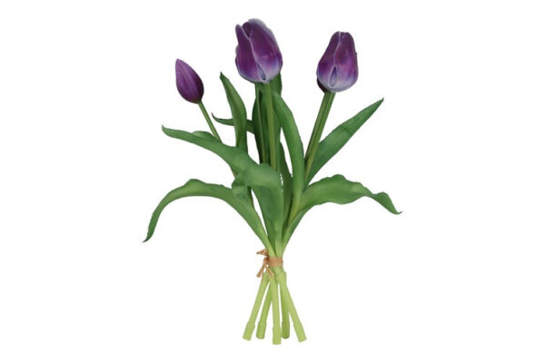 Tulipan bundt purple h 29 cm