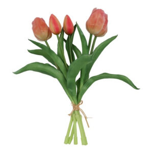 Tulipan bundt peach h 29 cm