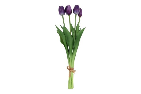 Tulipan bundt purple h 41 cm