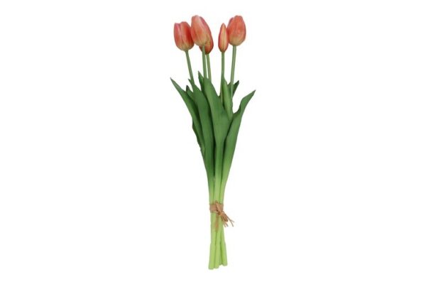 Tulipan bundt peach h 41 cm