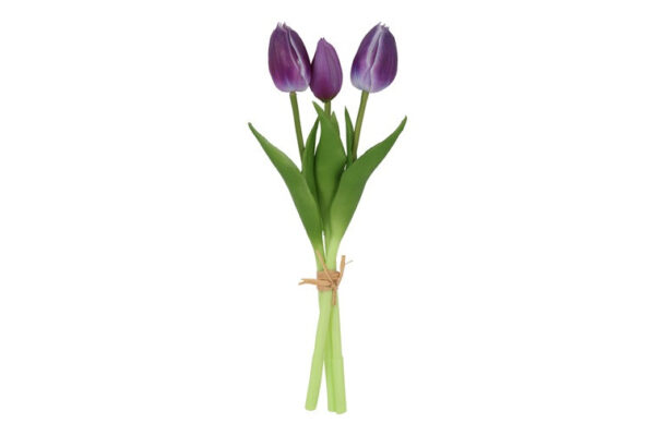 Tulipan bundt purple h 29 cm