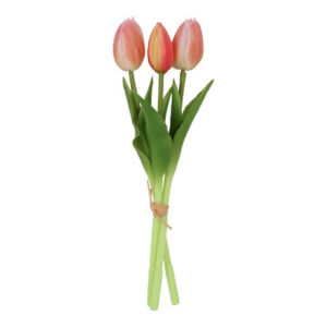 Tulipan bundt peach h 29 cm