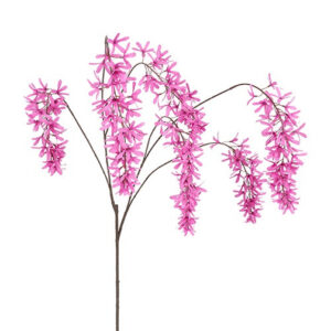 Blåregn  pink h 105 cm