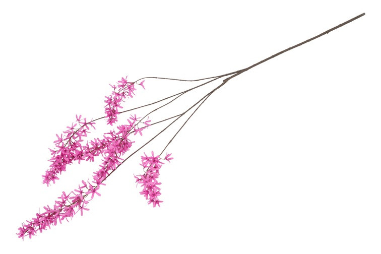 Blåregn pink h 105 cm - Billede 2