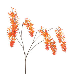 Blåregn orange h 105 cm
