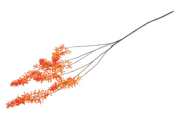 Blåregn orange h 105 cm - Billede 2