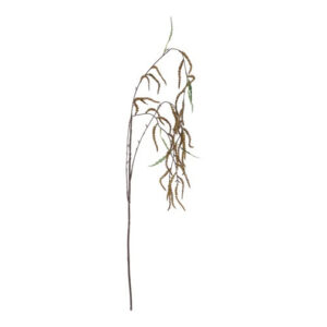 Amaranthus brun h 102 cm