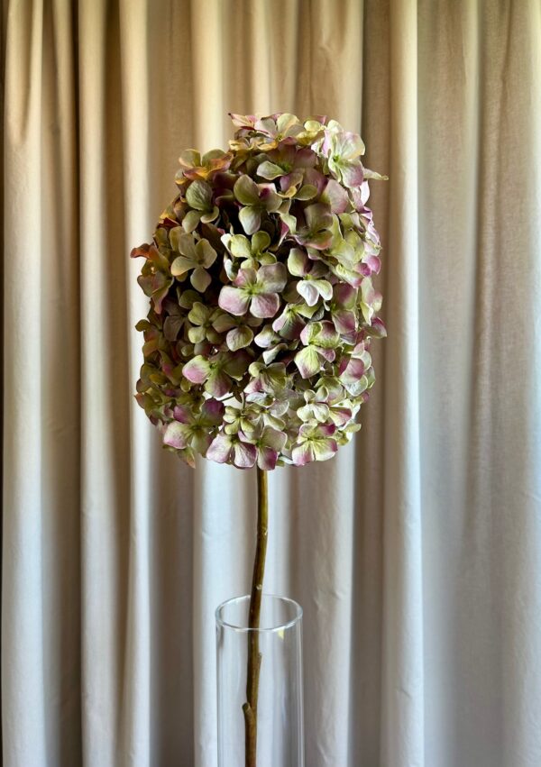 Hortensia grøn/lilla h 83 cm - Billede 2