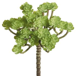 Mini sukkulenter grøn h 22 cm