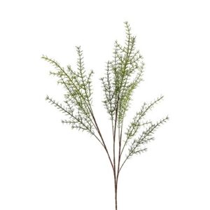 Asparagus grøn h 105 cm
