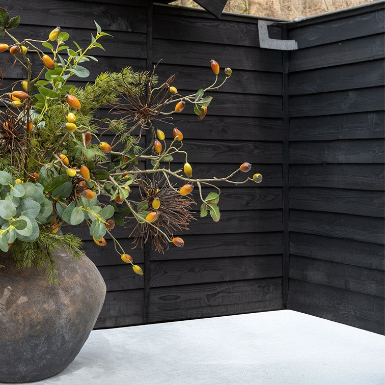 Grevillea brun h 111 cm - Billede 2