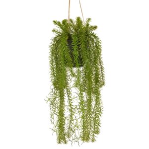 Asparagus hænge L 51cm