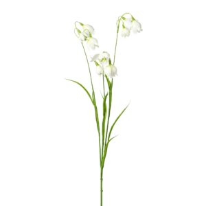 Klokkeblomst hvid h 78cm