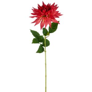 Dahlia rød h 60cm