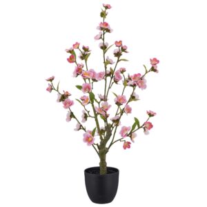 Kirsebær træ i potte rosa h 64cm