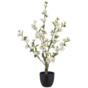 Kirsebær træ i potte hvid h 64cm