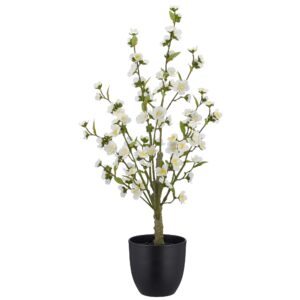 Kirsebær træ i potte hvid h 77cm