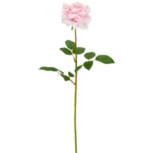 Rose lys rosa real touch h 69cm