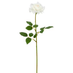 Rose hvid real touch h 69cm