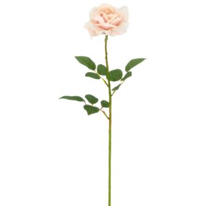 Rose lys abrikos real touch h 69cm