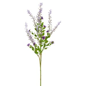 Phytolacca lilla h 72cm