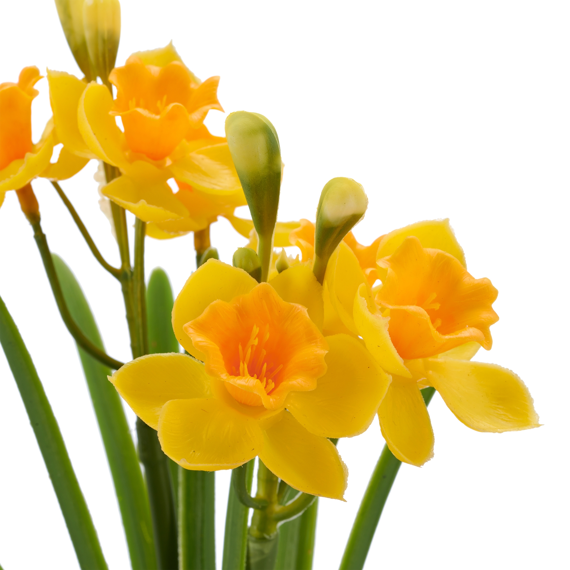 Påskelilje bund a 2 gul h 32cm - Billede 2